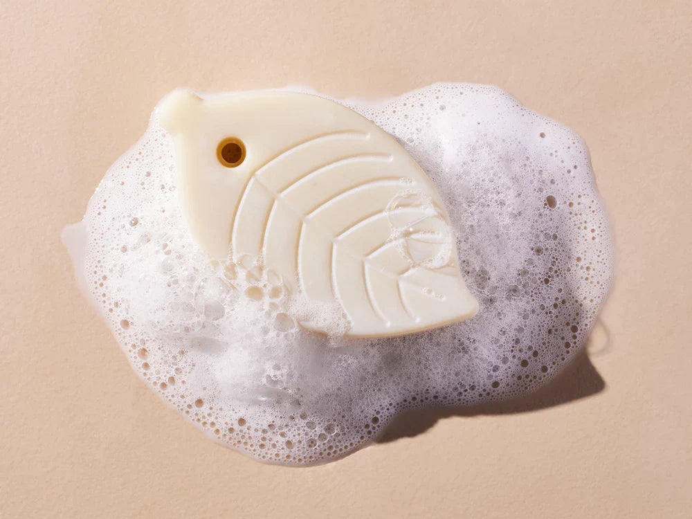 Shampoo & body cleansing bar